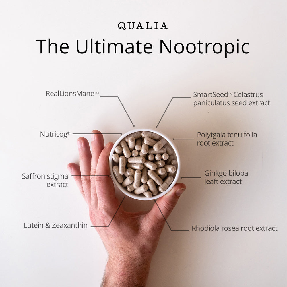 Qualia Mind 2.0 – Advanced Nootropic for Focus, Memory & Mental Clarity (120 Capsules)