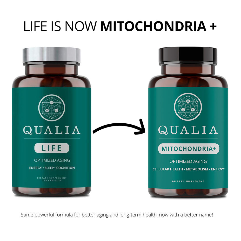 Qualia Mitochondria+ | 34-Ingredient Mitochondrial & Cellular Energy Support