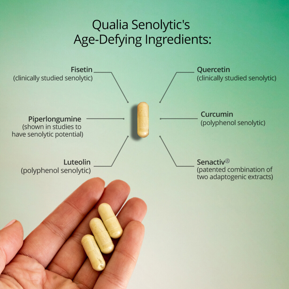 Qualia Senolytic – Two-Day Cellular Rejuvenation Regimen (12 Capsules)