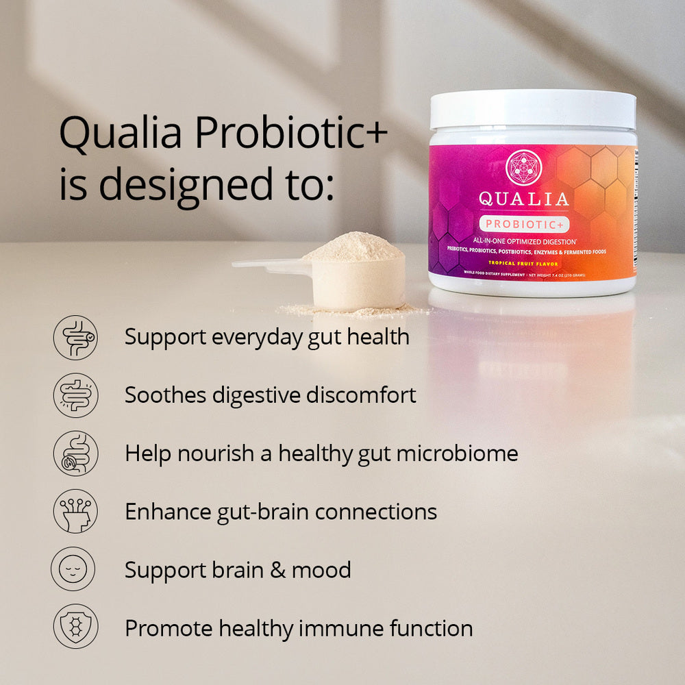 Qualia Probiotic+ | All-in-One Gut Support with Probiotics, Enzymes & Fermented Blend