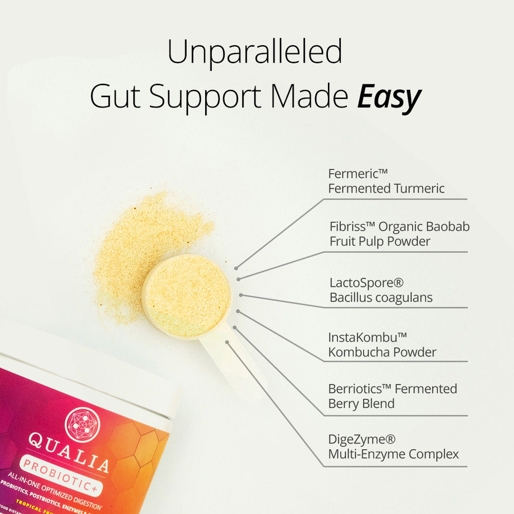 Qualia Probiotic+ | All-in-One Gut Support with Probiotics, Enzymes & Fermented Blend