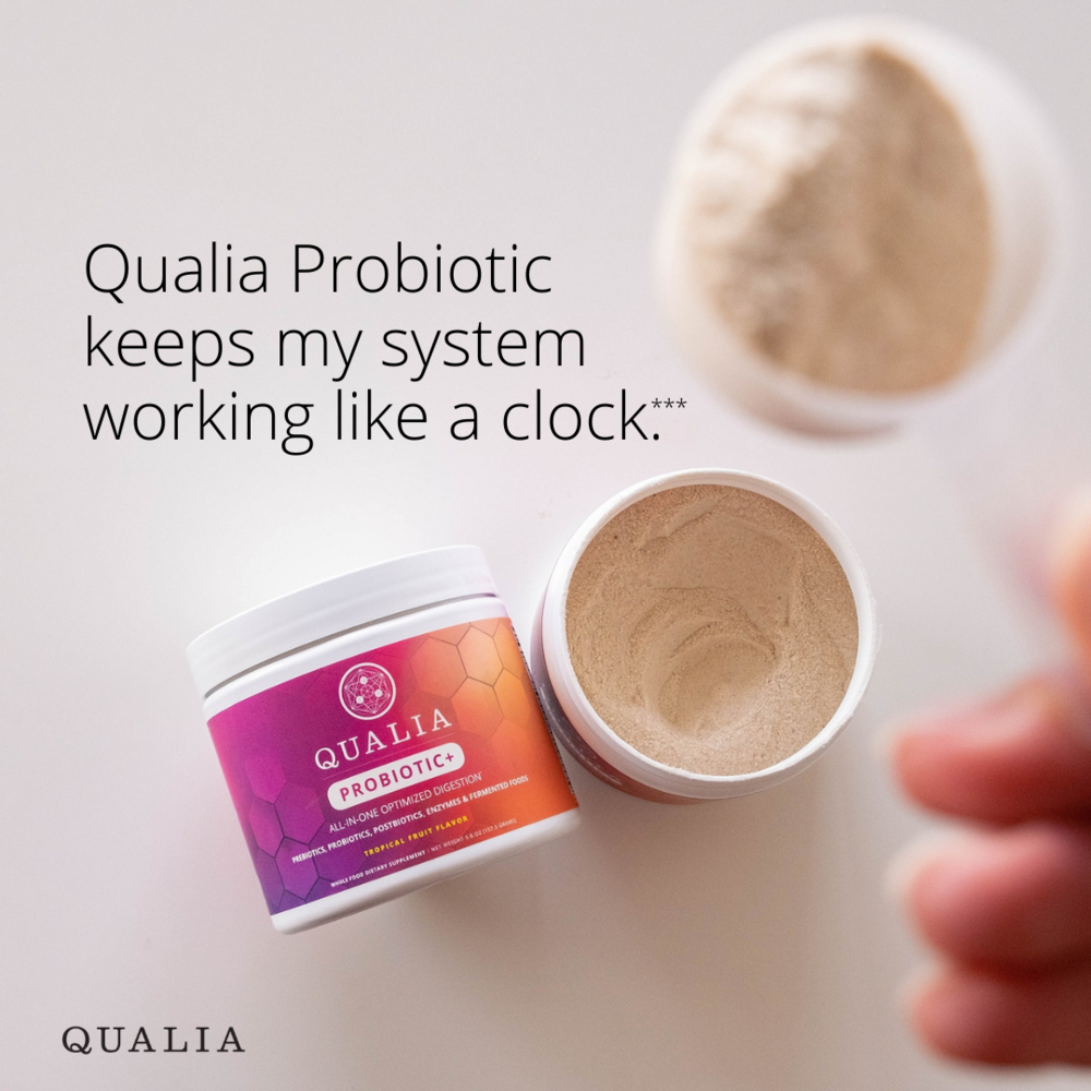 Qualia Probiotic+ | All-in-One Gut Support with Probiotics, Enzymes & Fermented Blend