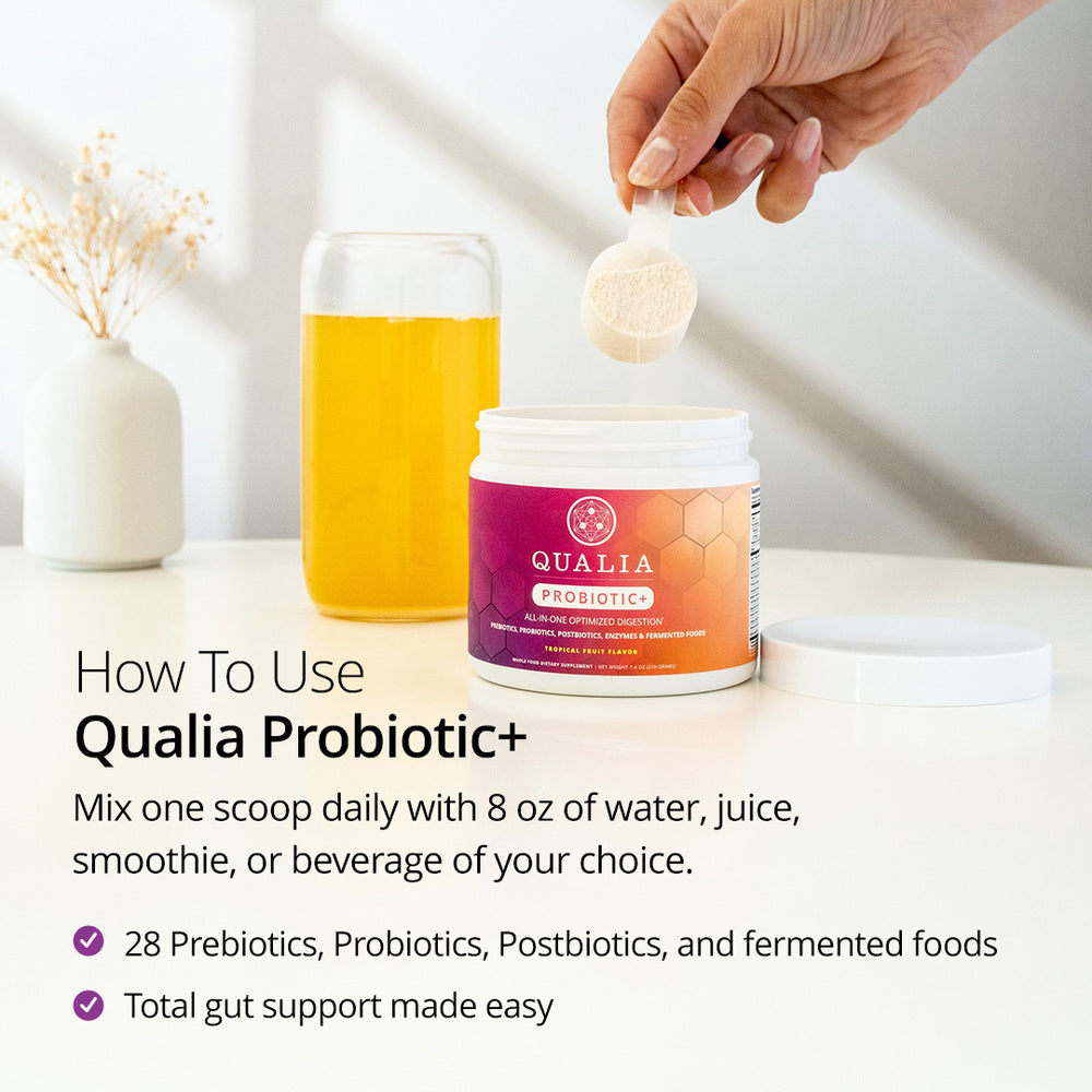 Qualia Probiotic+ | All-in-One Gut Support with Probiotics, Enzymes & Fermented Blend