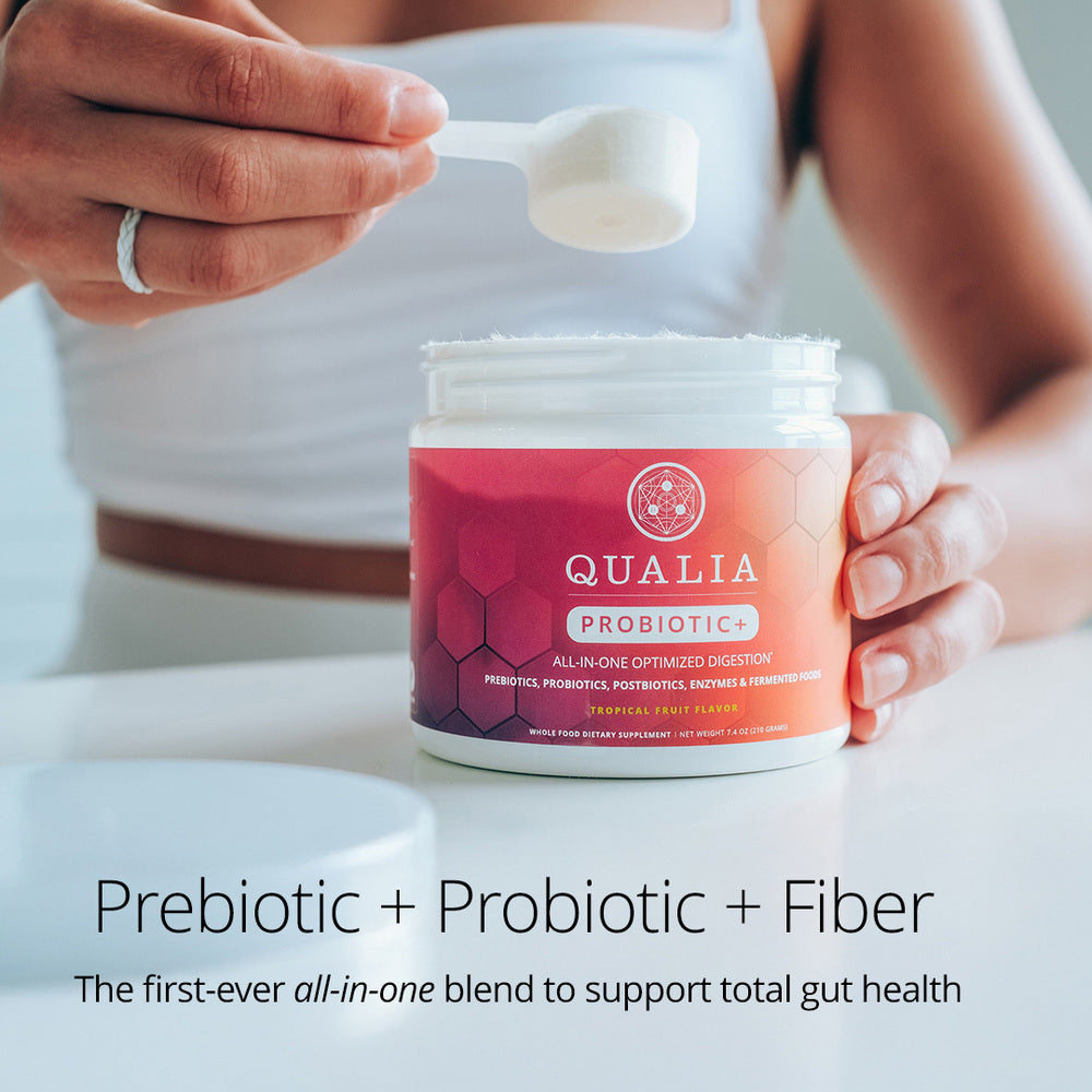 Qualia Probiotic+ | All-in-One Gut Support with Probiotics, Enzymes & Fermented Blend