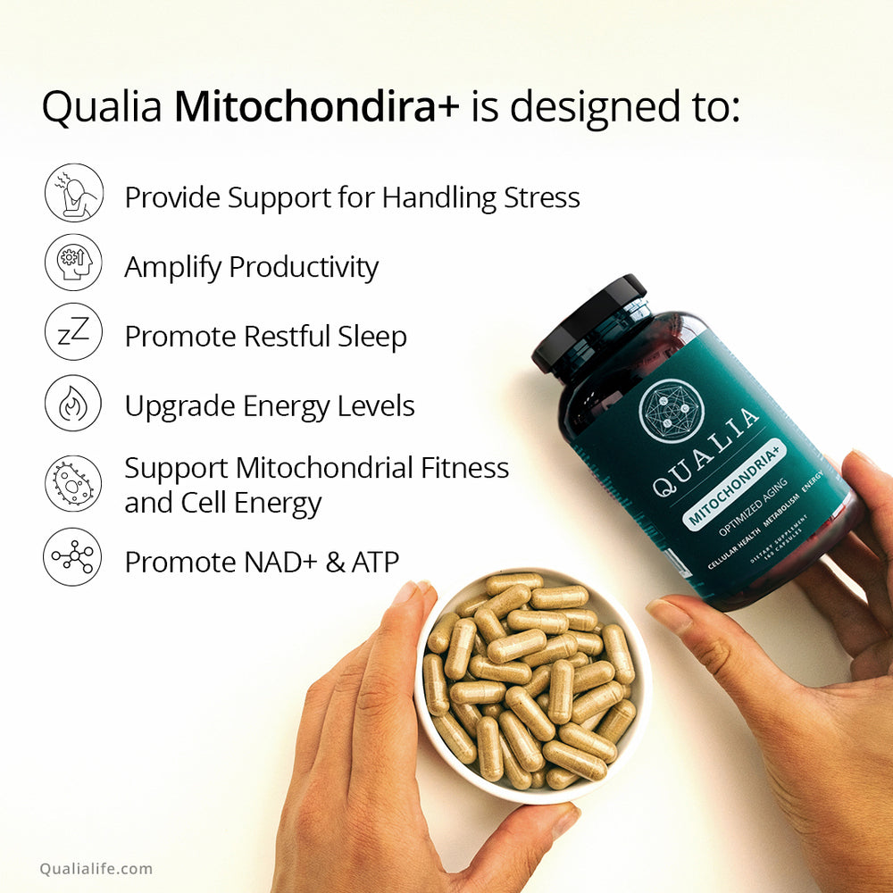 Qualia Mitochondria+ | 34-Ingredient Mitochondrial & Cellular Energy Support