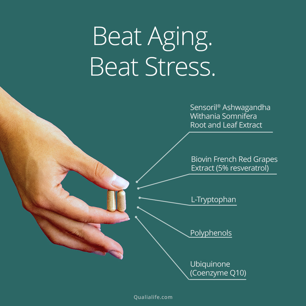 Qualia Mitochondria+ | 34-Ingredient Mitochondrial & Cellular Energy Support
