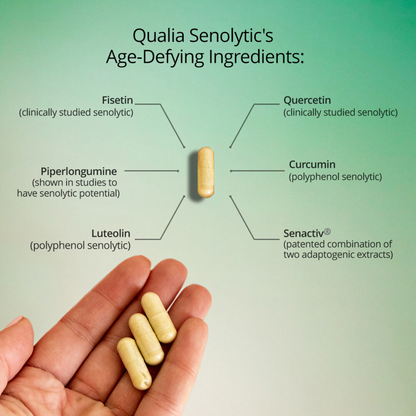 Qualia Senolytic – Two-Day Cellular Rejuvenation Regimen (12 Capsules)